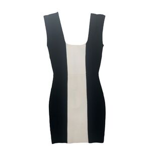 BCBG Bodycon Dress